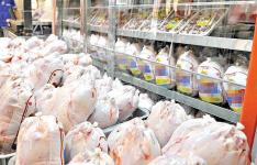توزیع روزانه 40 تن مرغ در میادین میوه و تره‌بار/مرغ منجمد 13هزار تومان، مرغ گرم 15750 تومان