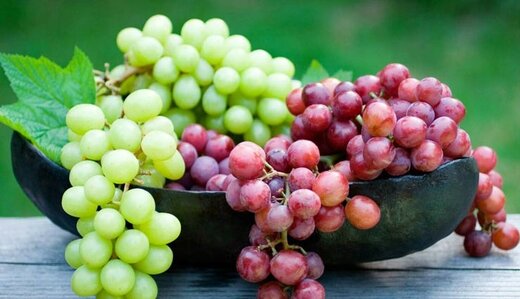 برداشت ۳۰ نوع انگور از باغات استان آذربایجان‌غربی