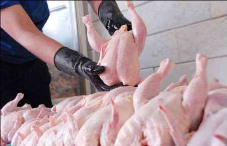 دلایل افزایش مقطعی قیمت مرغ چیست؟