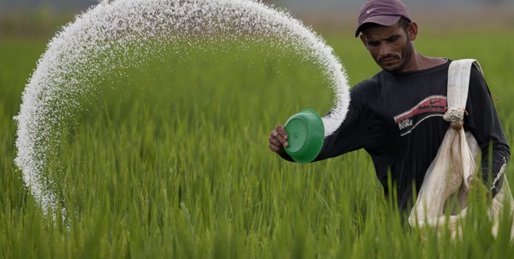 افزایش قیمت 10 برابری کود شیمیایی در آستانه فصل کشت/ سازمان کشاورزی: مصوبه هیأت دولت است