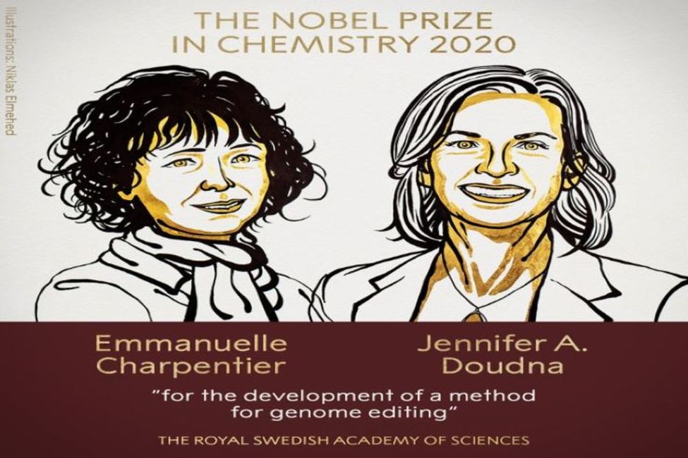 ۲ زن جایزه نوبل شیمی ۲۰۲۰ را کسب کردند