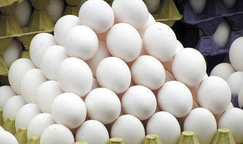 چرا تخم‌مرغ دو برابر قیمت درب مرغداری به دست مصرف‌کننده می‌رسد؟