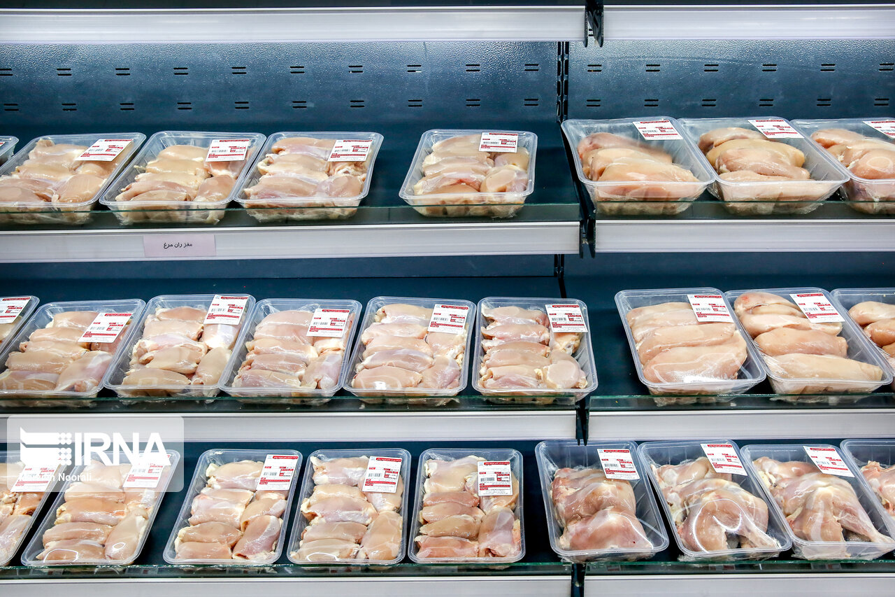 عرضه ۶۵۰ تن گوشت مرغ گرم در میادین و فروشگاه های زنجیره ای