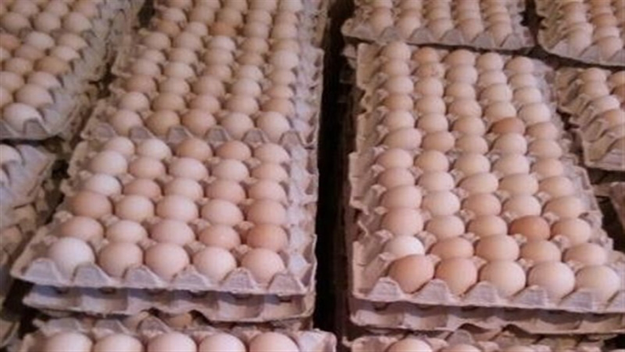 صف‌های طولانی برای خرید تخم مرغ در این روز‌های کرونایی