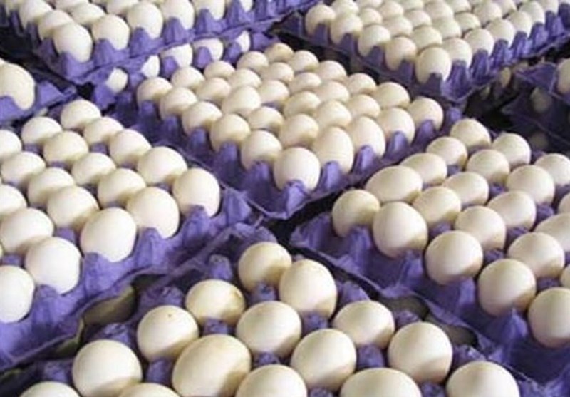 درج قیمت ۱۱۰۰ تومانی بر روی هر تخم مرغ الزامی شد