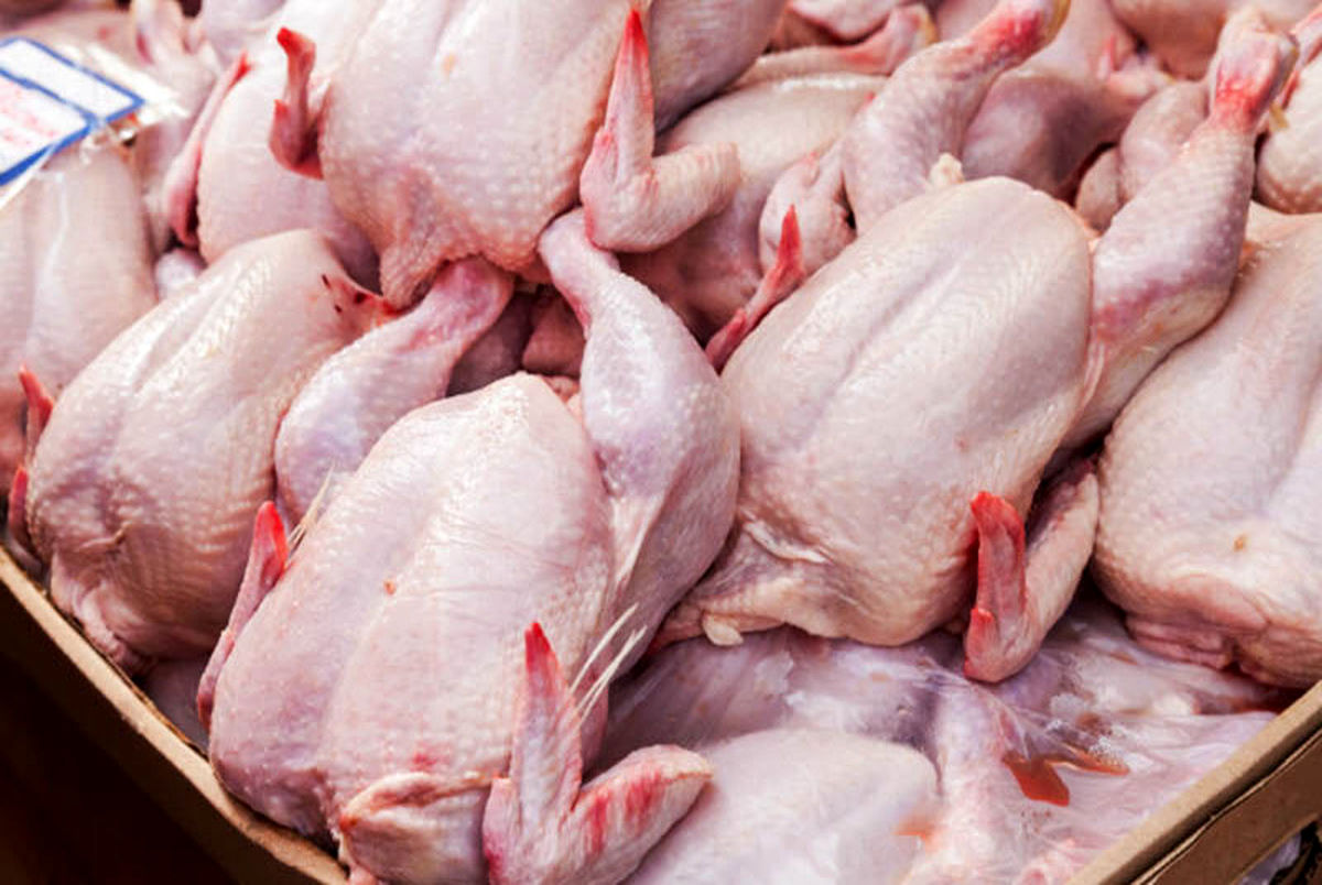 مازاد تولید قیمت مرغ را نجومی نکرد