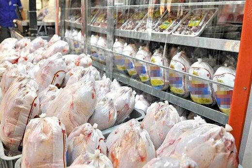 گرانی مرغ در روز‌های آتی با کاهش تولید