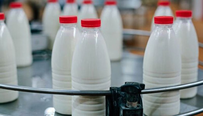 وزارت جهاد کشاورزی دلایل  افزایش قیمت شیر را مطرح کرد