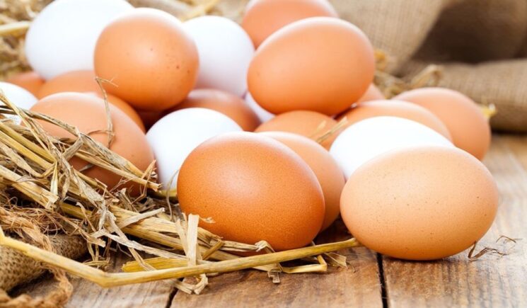 کاهش قیمت تخم مرغ درب  مرغداری ها ولی در مراکز عرضه همچنان گران است