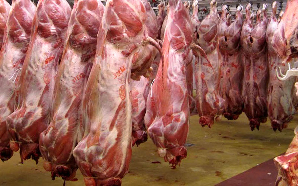 دلیل افزایش قیمت گوشت قرمز