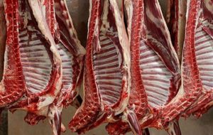 واردات گوشت از کنیا به چه قیمتی؟