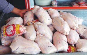 قیمت انواع مرغ در دوم شهریور ۱۴۰۲