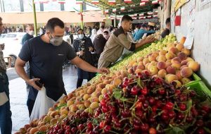 قیمت روز میوه وتره بار