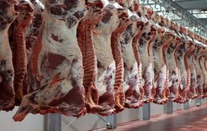 برخورد قاطع با گرانفروشان گوشت