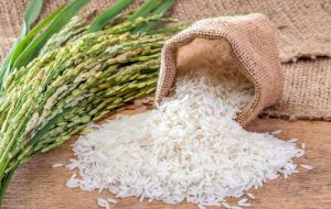 دومین مرکز خرید توافقی برنج پرمحصول در بابل راه اندازی شد