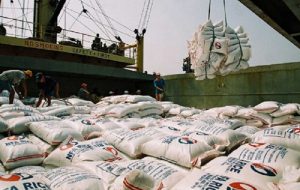 برنج روی دست کشاورزان مانده برنج خارجی توزیع می‌شود