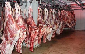 دولت با افزایش واردات گوشت قرمز قصد متعادل سازی قیمت گوشت را دارد