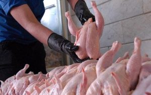 قیمت انواع مرغ در هشتم آبان ۱۴۰۲
