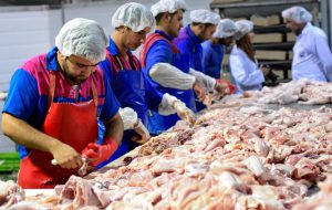 اختلاف شدید قیمت گوشت مرغ از کشتارگاه تا میادین تره بار