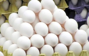 بازار تخم مرغ دچار نوسانات قیمتی است