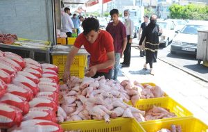 قیمت انواع مرغ در بیست و پنجم آذر ۱۴۰۲