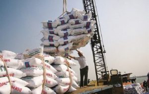 فساد مالی واردکننده برنج صحت دارد؟