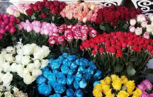 قیمت گل در آستانه روز مادر