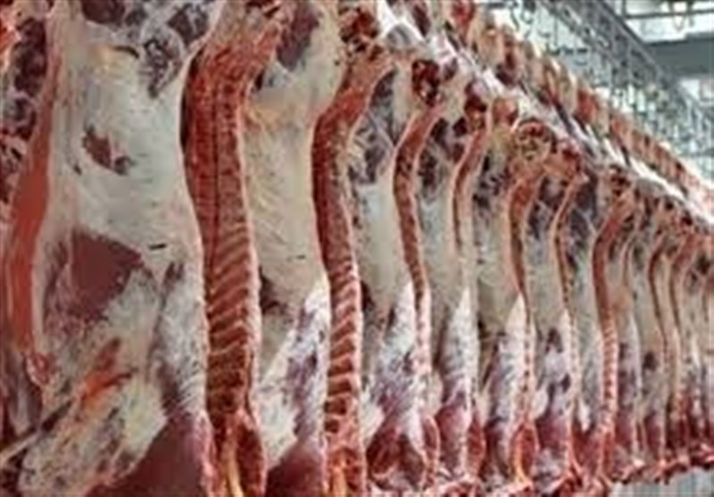 واردات ۱۴۰ هزار تن گوشت منجمد و ۳۰ هزار تن گوشت گرم تا پایان سال