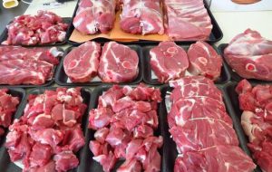 نرخ گوشت تولید داخل به سبب توزیع گوشت وارداتی کاهش معناداری داشته است